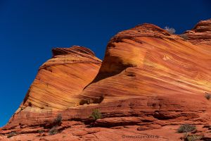 USA-Coyote-Buttes-North-2